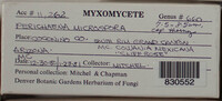 Image Associated With the Occurence
